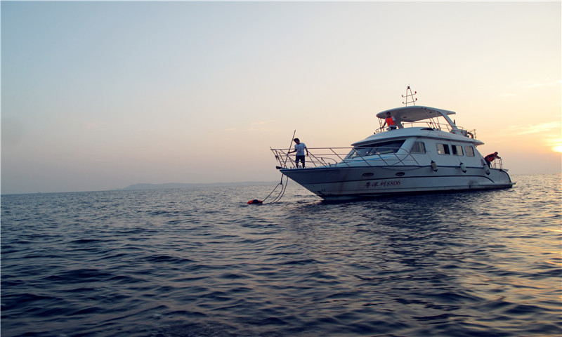 深圳南澳豪华游艇可拖网捕鱼捕获鱼全归游客