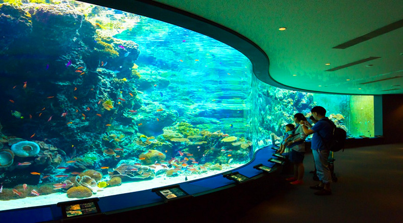冲绳美丽海水族馆电子票(多项世界记录 海洋生物体验 亲子旅游必去