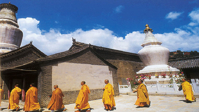 五台山大同二日游包车(推荐五台山显通寺 菩萨顶 塔院寺 五爷庙 大同