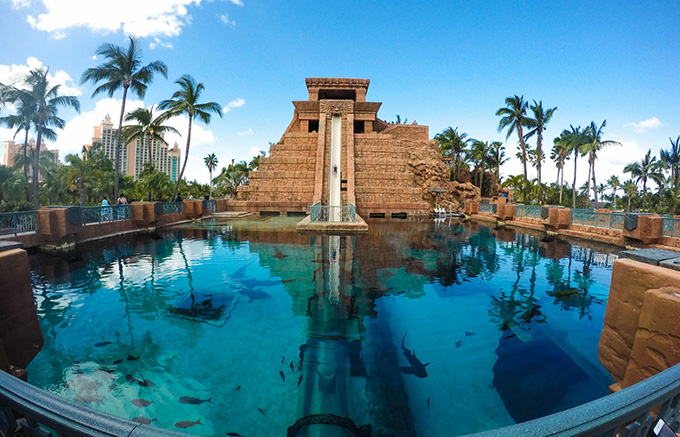 舌尖上的特兰蒂斯美食万花筒餐厅藏红花餐厅自助午餐晚