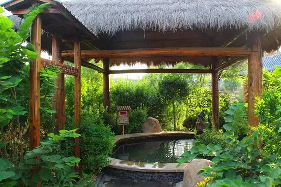 夏津德百温泉度假村双人温泉票双人早餐