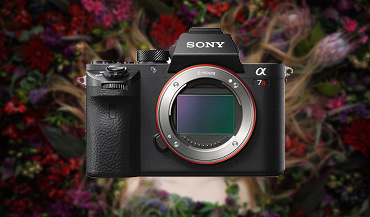 索尼a7r2配2870镜头套机微单单反出租单电相机租赁入门级数码相机