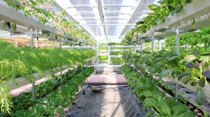 台州北洋蓝美庄园门票