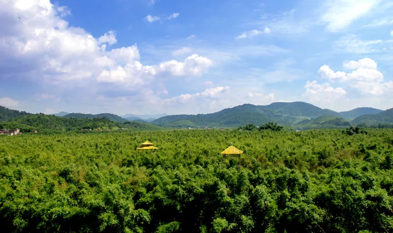 广宁竹海大观门票