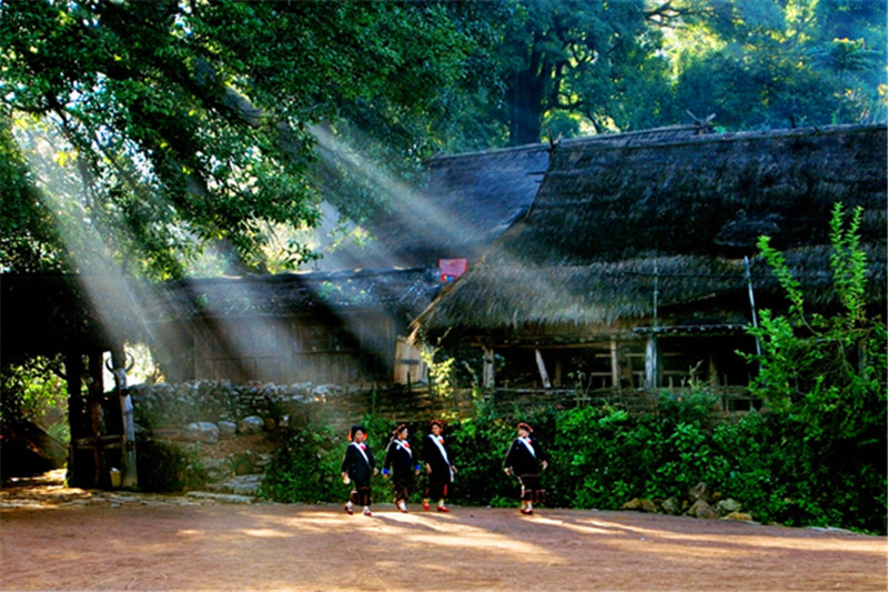 云南沧源翁丁原始部落门票保存完整的佤族村落