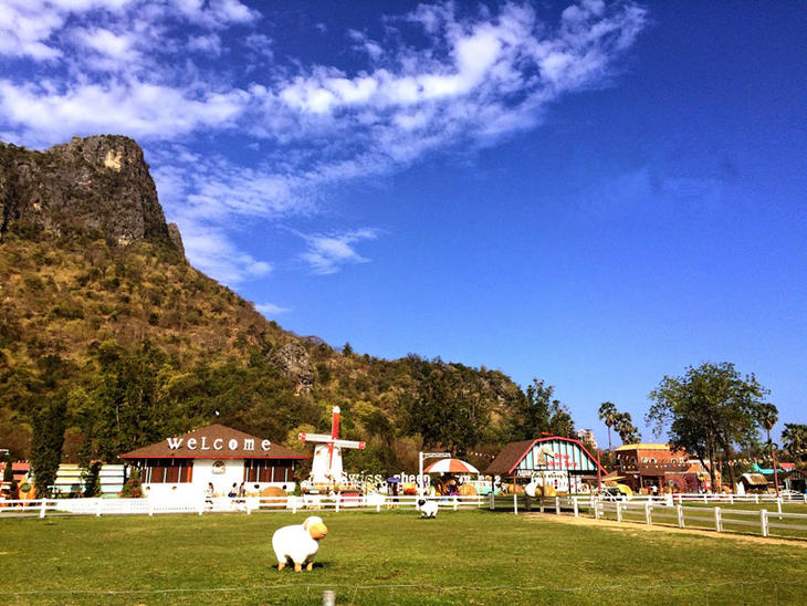 泰国华欣小瑞士绵羊牧场公园门票(欧式feel 绵羊亲密接触)