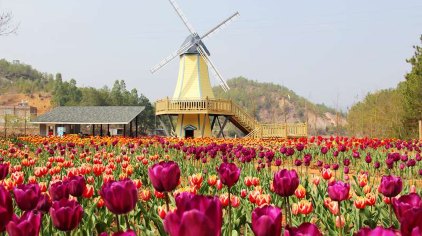 梅州客林爱丽丝庄园门票