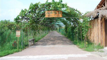 苏州绿光开心农场门票