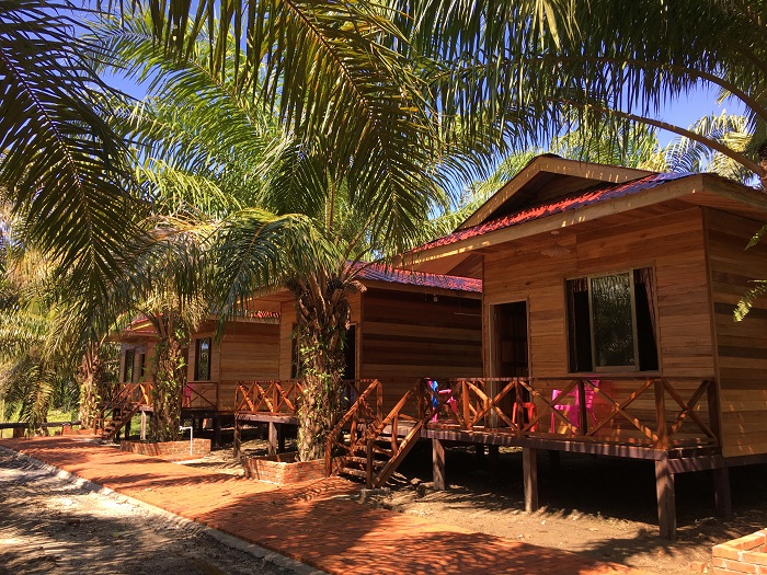 仙本那东南亚风情独栋木屋别墅棕榈园度假村木屋酒店小木屋一晚