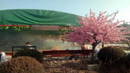 瓦房店伊甸园美门温泉门票