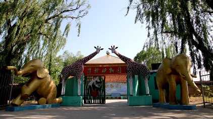 沧州吴桥杂技大世界门票