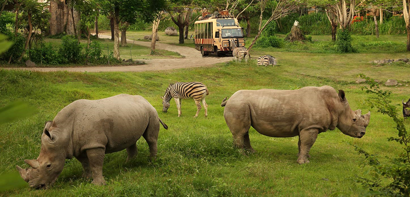 巴厘岛野生动物园门票骑大象狮子餐厅balisafarimarinepark