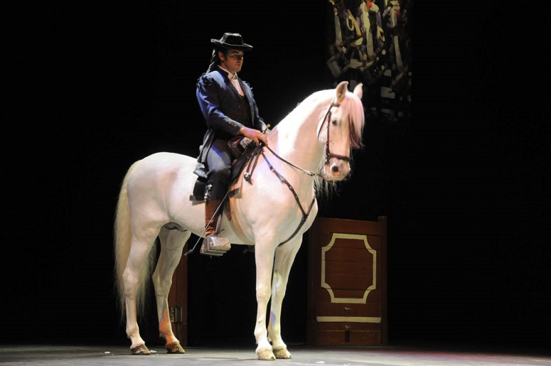 骏马之舞 赫雷斯·德拉弗龙特拉jerez de la frontera皇家马术表演