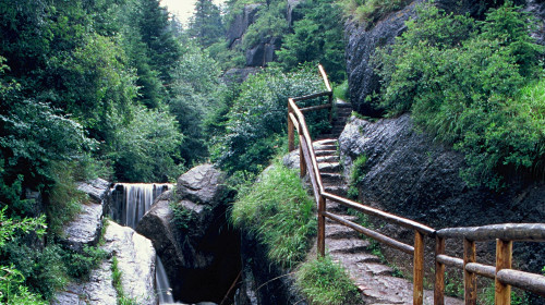 忻州芦芽山情人谷门票