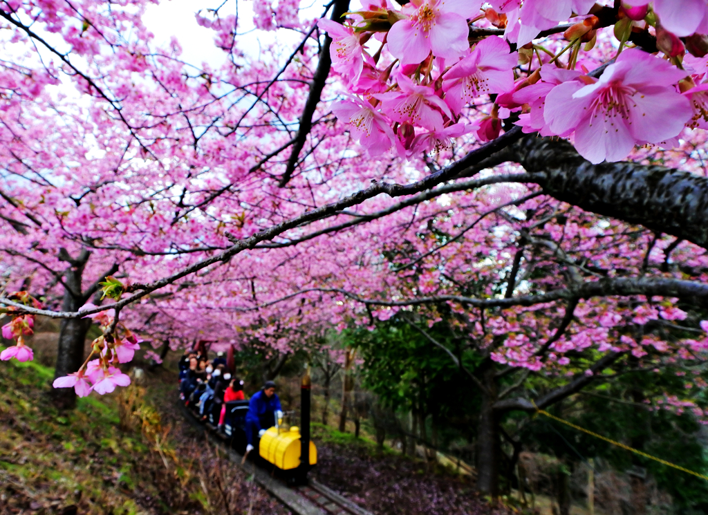 杭州直飞东京一地往返5-6天含税单机票(东京进出