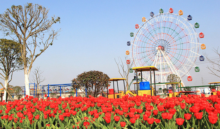 孝感金卉庄园景区电子票含哥德堡鬼船票赏花踏青必选全天可订不用可退