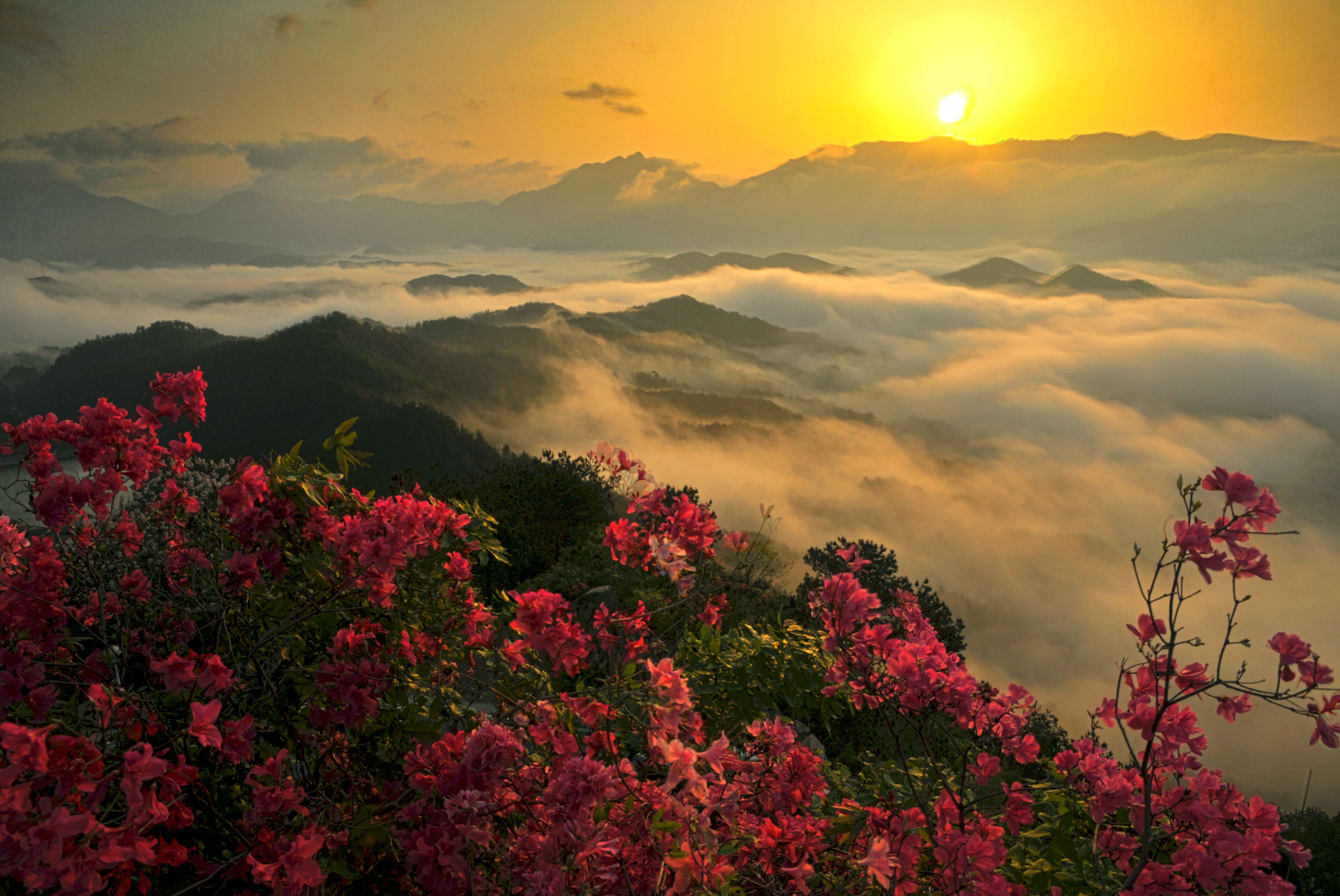 大别山薄刀峰图文详情罗田薄刀峰风景区景点简介产品介绍周末休闲店铺