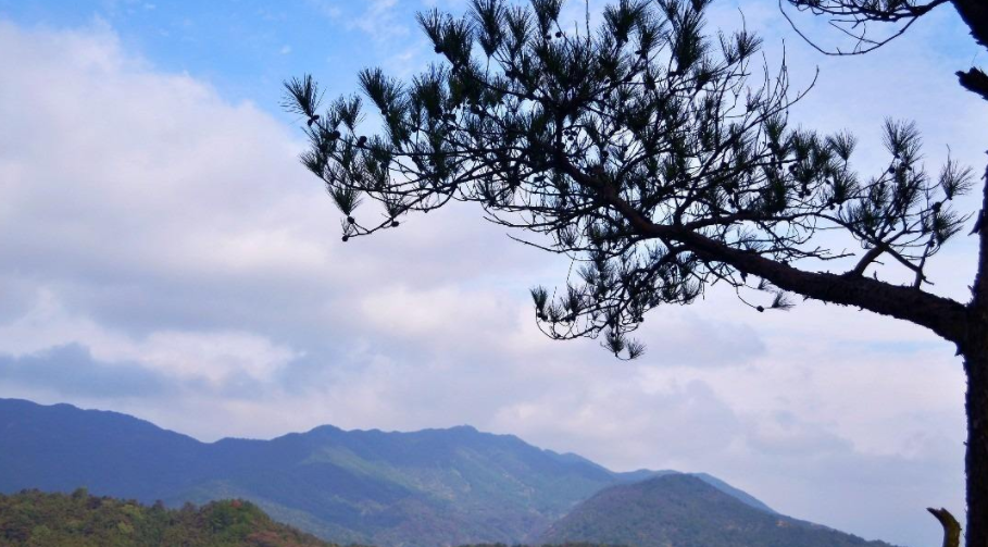南昌紫清山门票(自动出票)