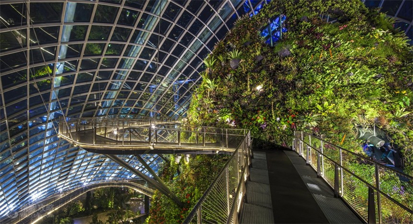 新加坡滨海湾花园花穹和云雾林门票(可订今日)