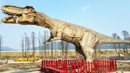 象山三联乐园门票