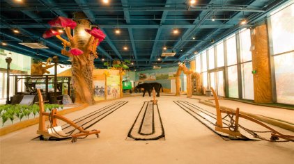 合肥四季童耕探索馆门票