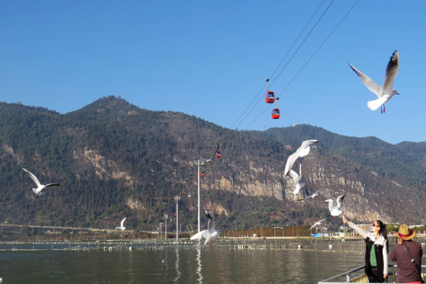 昆明滇池索道票 往返单程可选择 马蜂窝自由行 马蜂窝自由行