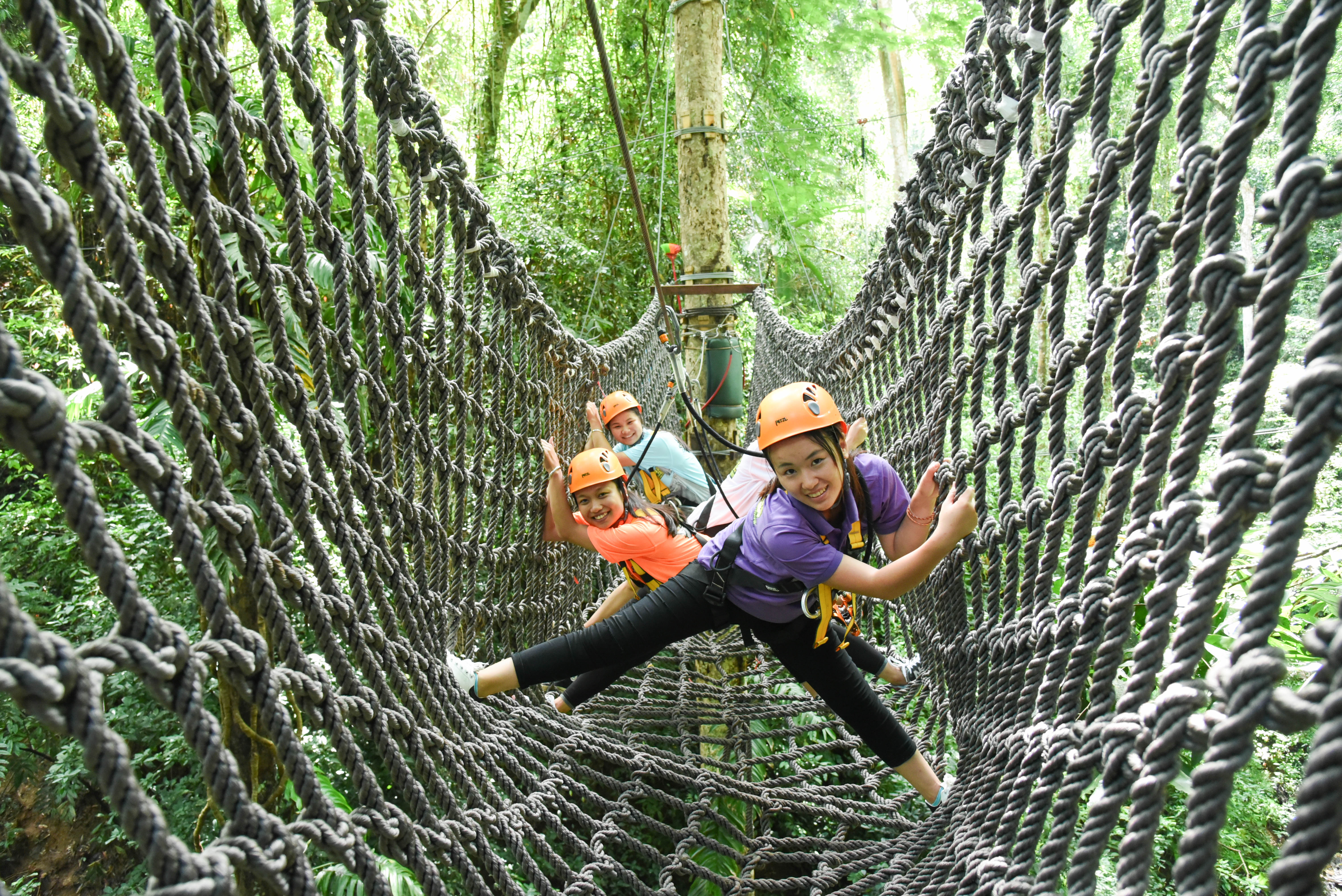 西双版纳原始森林公园丛林飞跃a段穿越雨林
