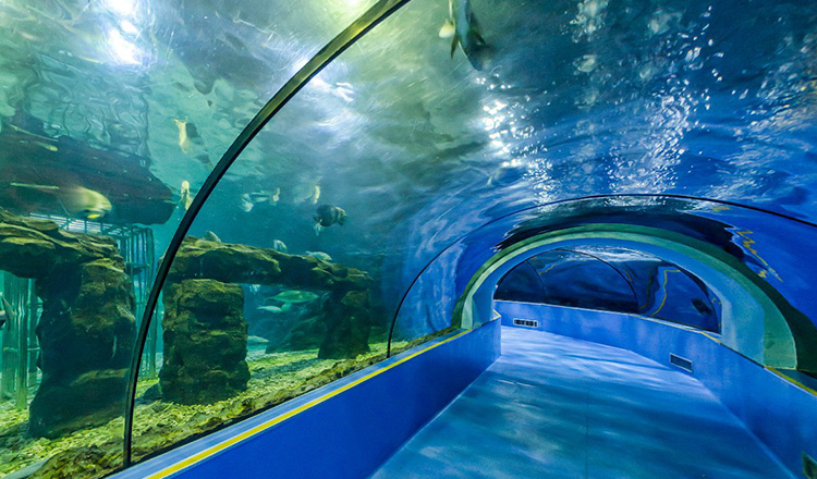 台州海洋世界电子门票