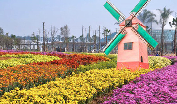 桐庐荻浦花海欢乐世界(畅玩票),马蜂窝自由行 - 马蜂窝自由行