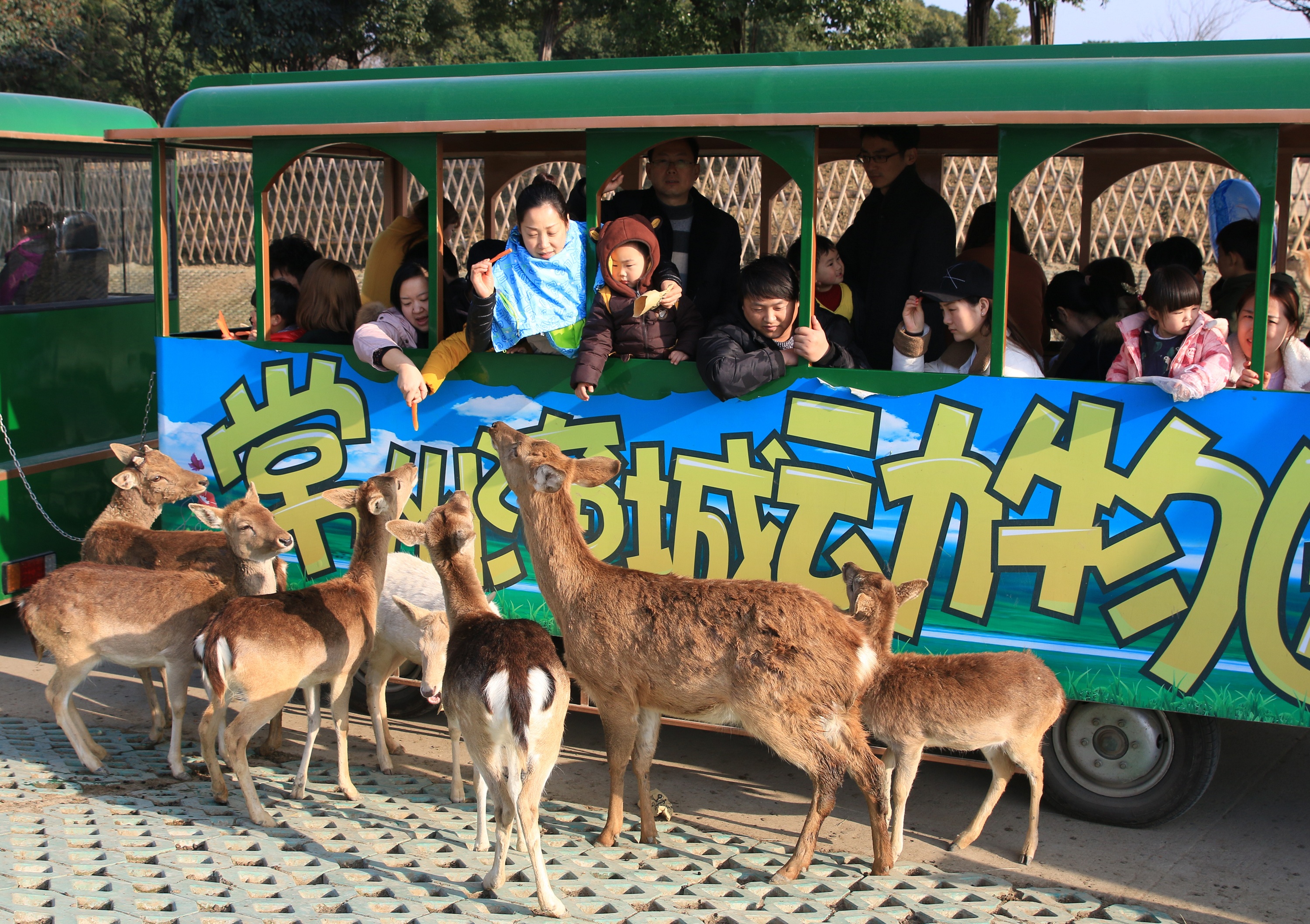常州淹城野生动物园成人票自驾车票刷身份证入园