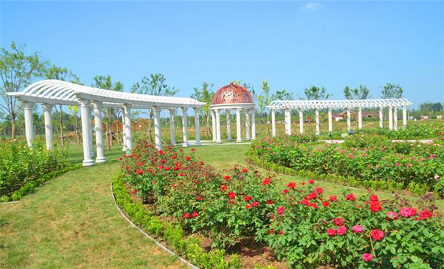 天津京滨玫瑰庄园 电子票(售票处换票)