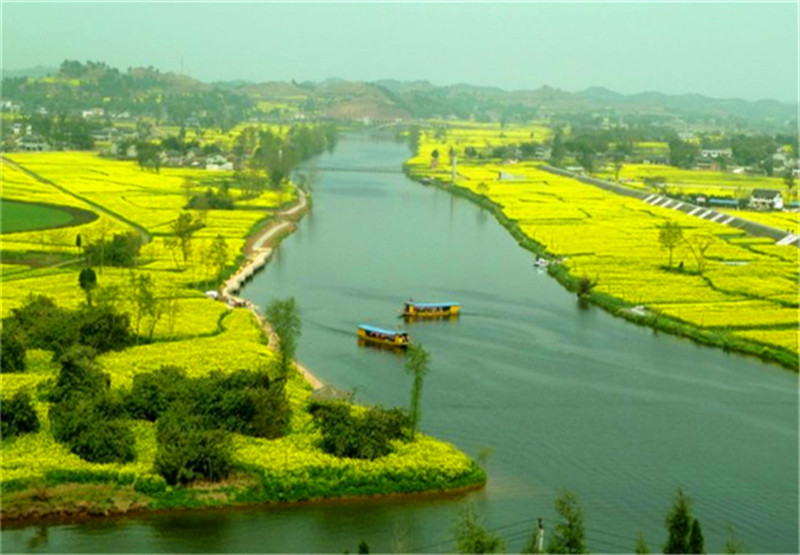 重庆潼南崇龛镇门票(油菜花海 1小时生效)