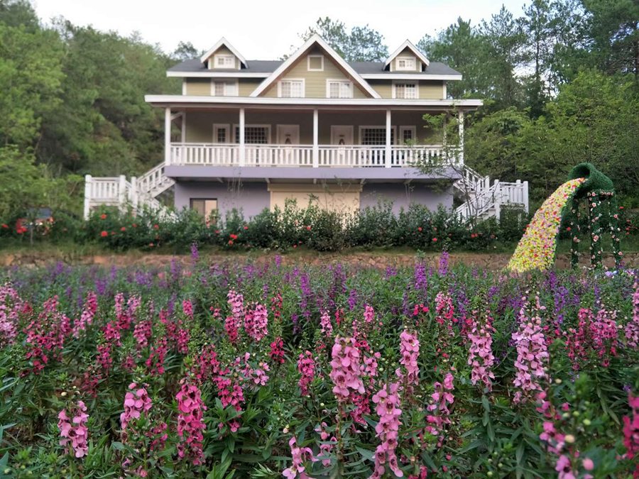还有独栋的欧洲花园别墅,欧式小教堂,日式风格的茶馆,别致的咖啡馆