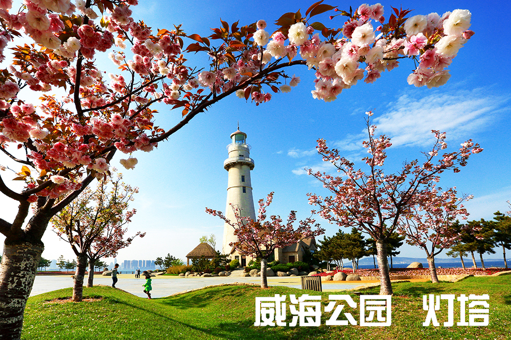 流浪在威海环海路遇见不一样的威海212人轻奢漫游小团一日游渔船出海