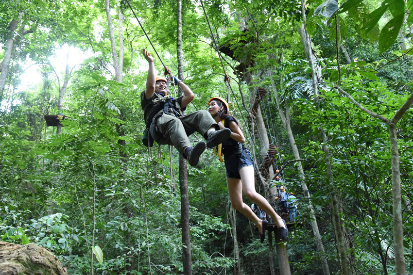 西双版纳原始森林公园丛林飞跃ab段票短信电子票支持随时退提前1小时