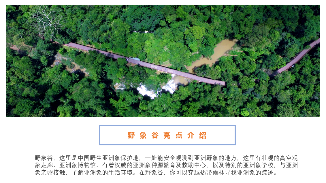 西双版纳野象谷门票人类与亚洲象沟通的桥梁