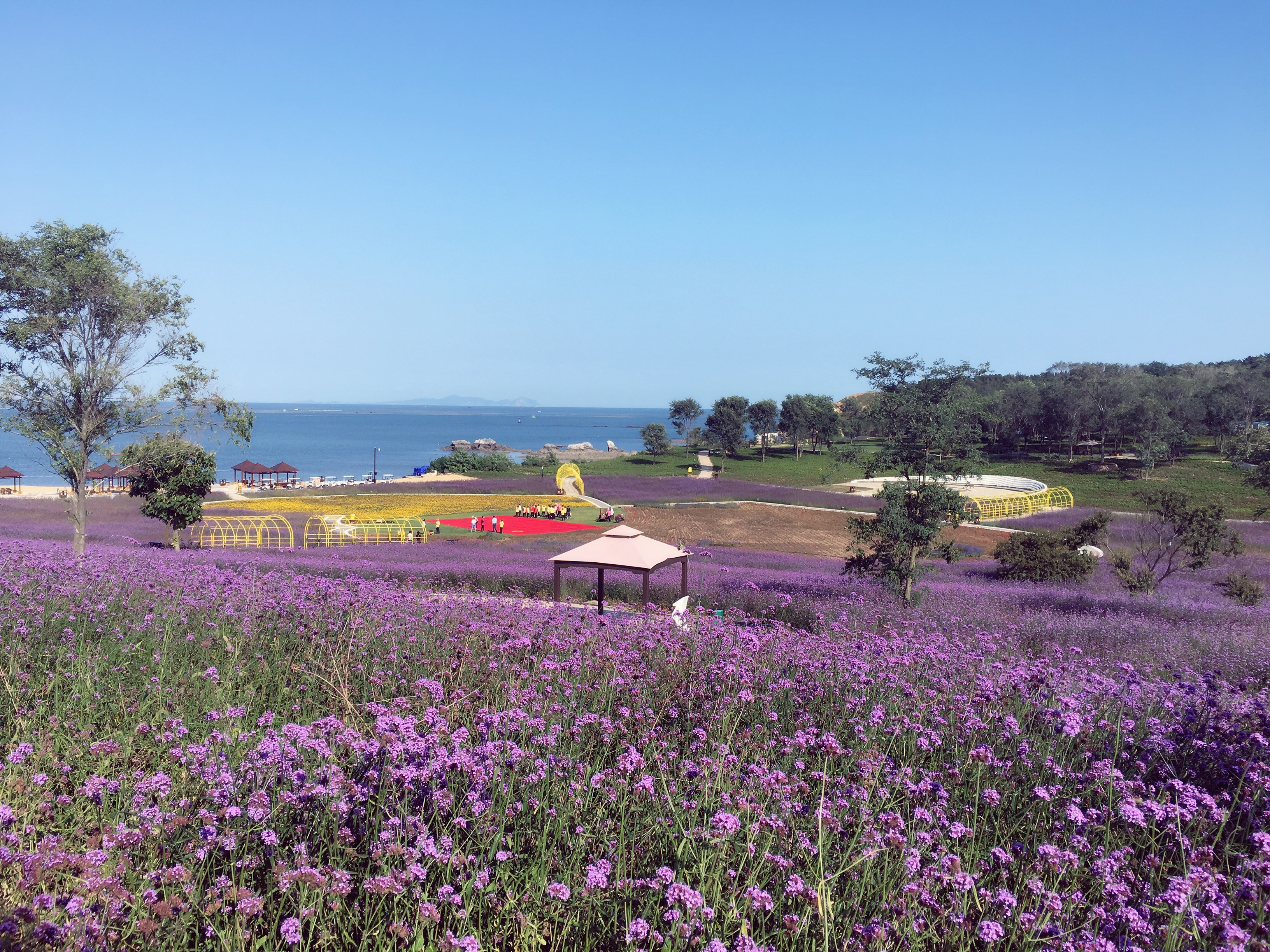 大连金石滩心悦岛文化公园门票观花赶海体验高尔夫