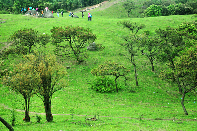 广东罗定八排山2日自驾导航路线