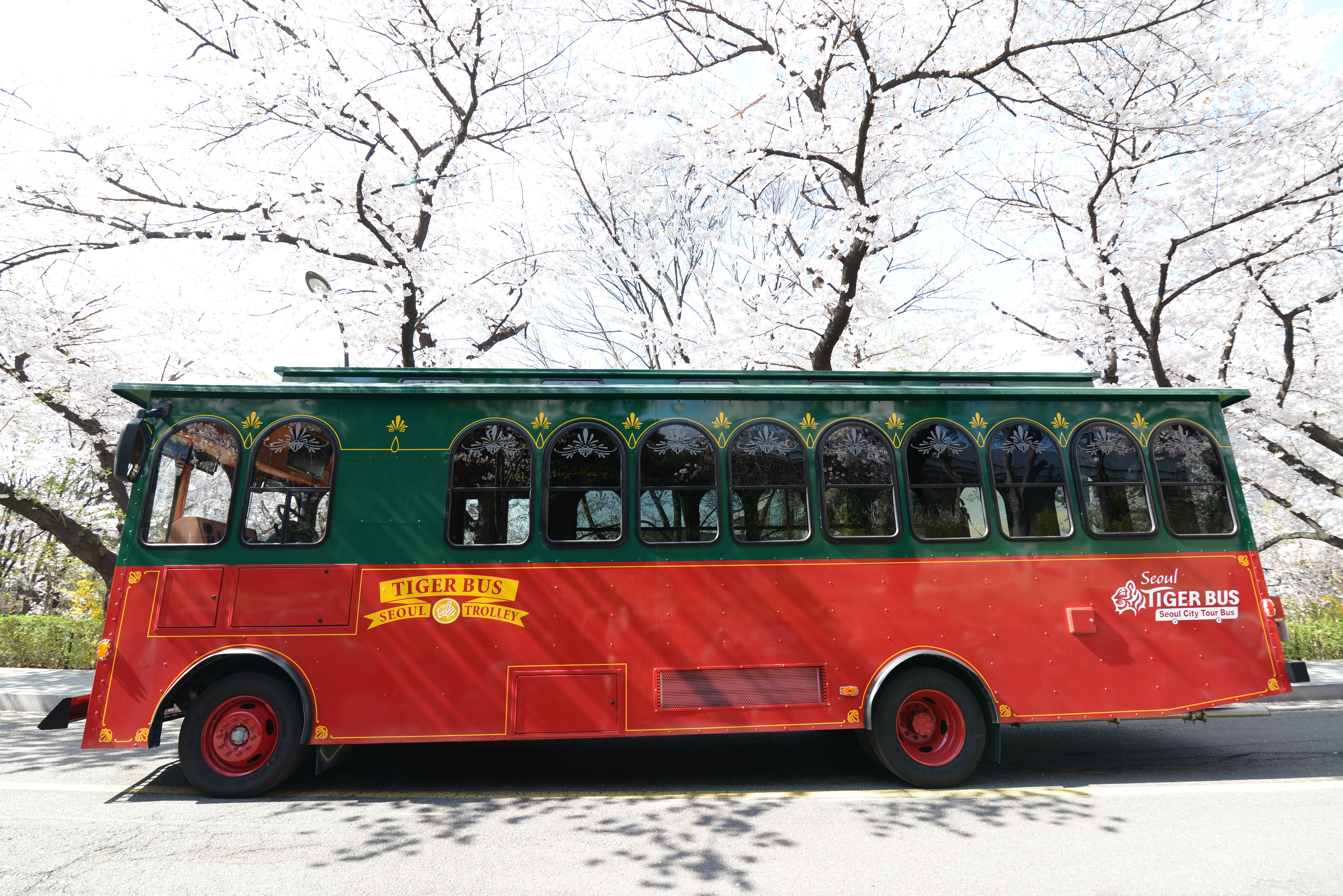 韩国首尔城市观光巴士电子票多线路可选手机出示