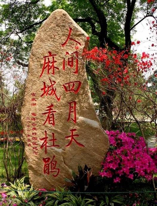 麻城龟峰山门票