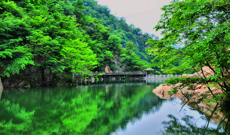 南阳西峡银树沟生态旅游区