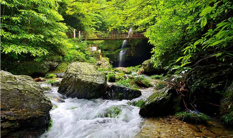 黄山打鼓岭景区门票 打鼓岭景区官方电子票,马蜂窝自由行 - 马蜂窝