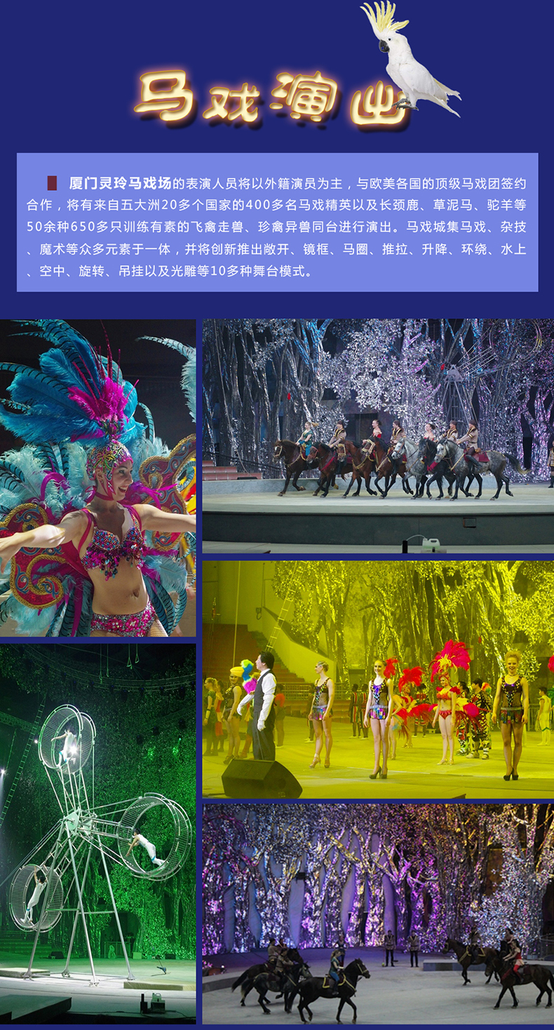 厦门灵玲马戏团门票动物王国观光票灵玲马戏城演出套票赏马戏盛宴偶遇