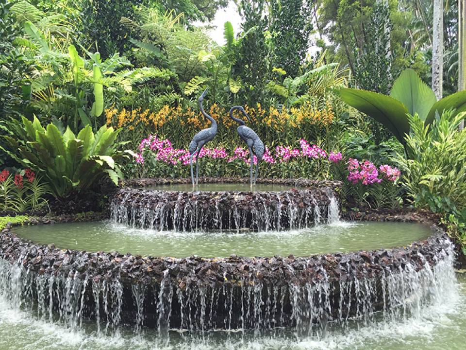 新加坡植物园之国家胡姬花园门票电子门票