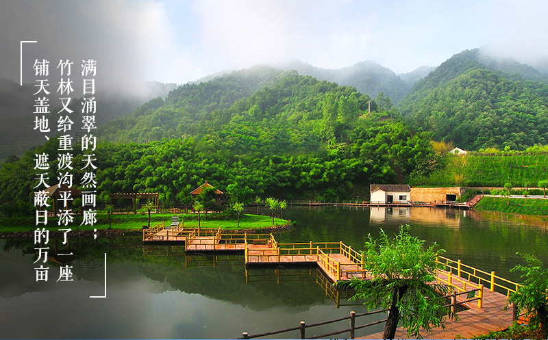 洛阳栾川重渡沟风景区水乡竹韵醉美乡村飞瀑流泉北国小江南入园保障