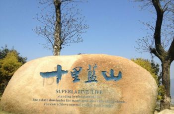 漳州长泰十里蓝山玛琪雅朵花海寻梦谷门票