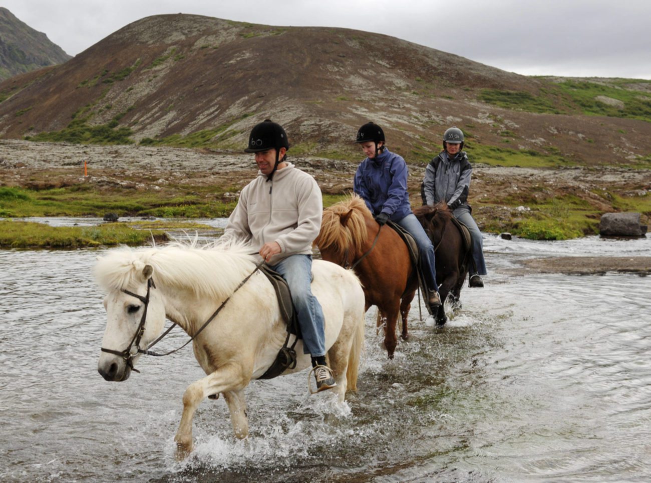 埃亚峡湾马背骑行体验海岸与峡湾风光尽收眼底