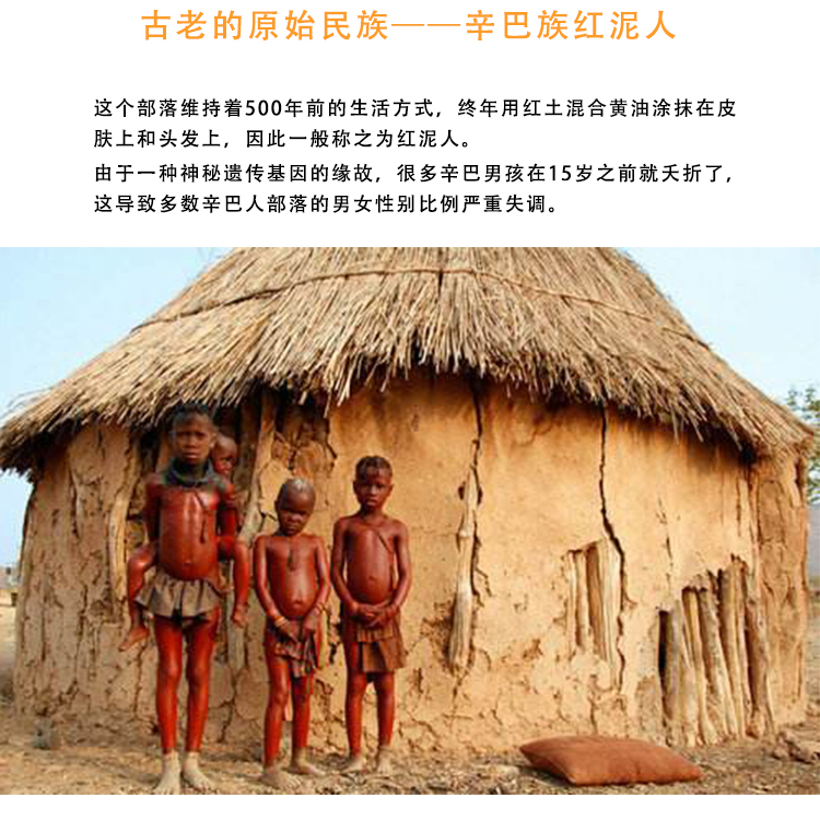 纳米比亚10日私家定制野奢之旅埃托沙国家公园辛巴红泥