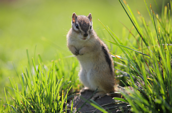 8l is ii usm(全国包邮/本地自取/小白兔),马蜂窝自由行 - 马蜂窝自由
