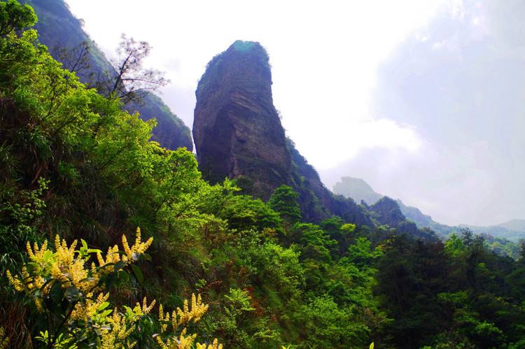 浙江温州景点雁荡山净名谷门票雁荡山净名谷景区门票电子门票